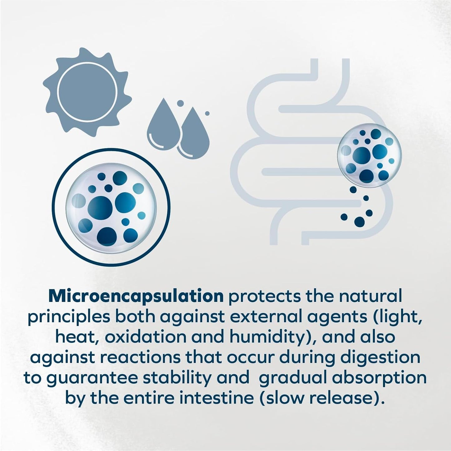 Kidney Care Dog Food – Renal Support Wet Dog Food with Lamb, Low Protein & Phosphorus Formula, Sensitive Stomach, 3.5 Oz Cans, 32 Pack – Vet Formulated, Made in Italy