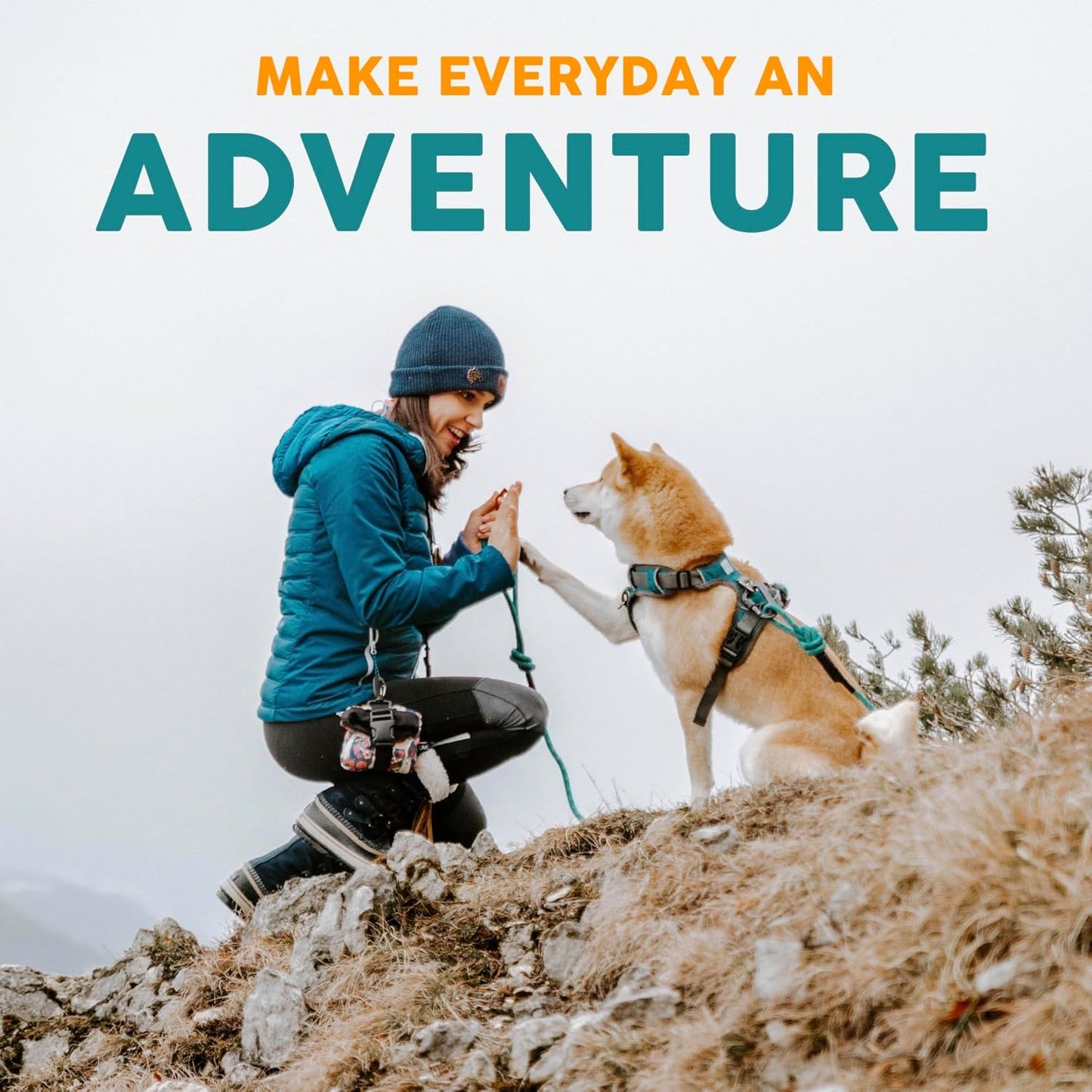 Embark Urban Dog Collar for Large, Medium, & Small Dogs - Durable Collars for Male & Female Dogs - Thick Nylon Material & Hardware - Leather Embossed