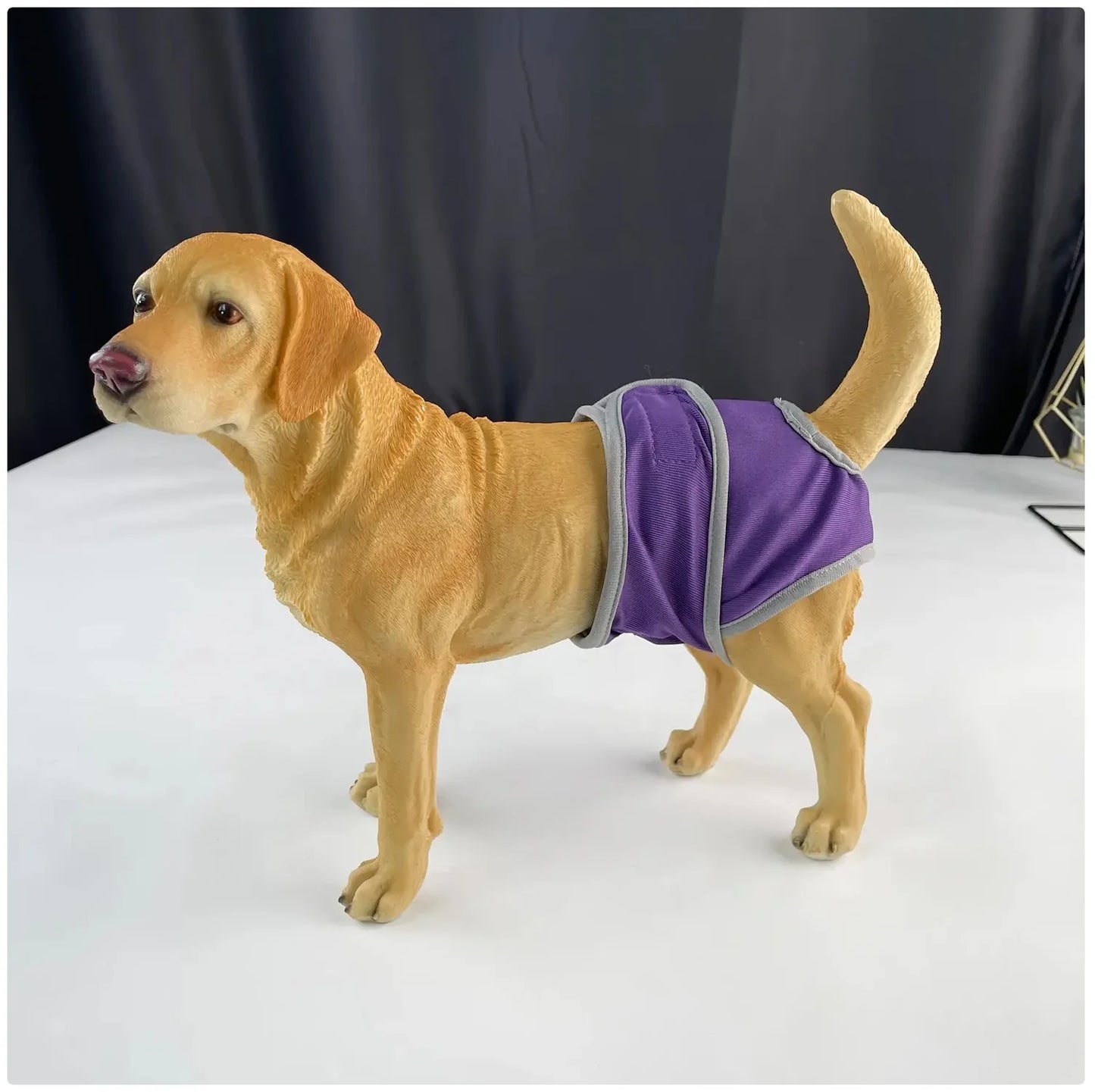 Comfortable and Stylish Reusable Dog Diaper - Adjustable Sanitary Pants for Dogs in Heat