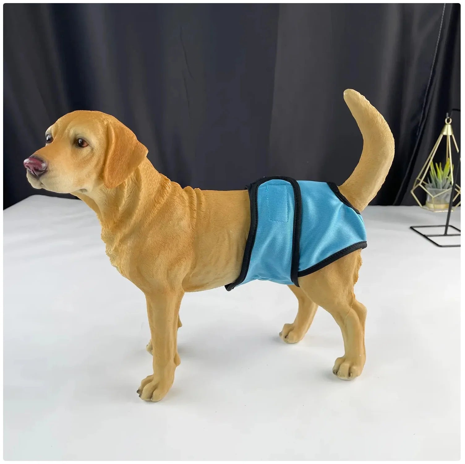 Comfortable and Stylish Reusable Dog Diaper - Adjustable Sanitary Pants for Dogs in Heat