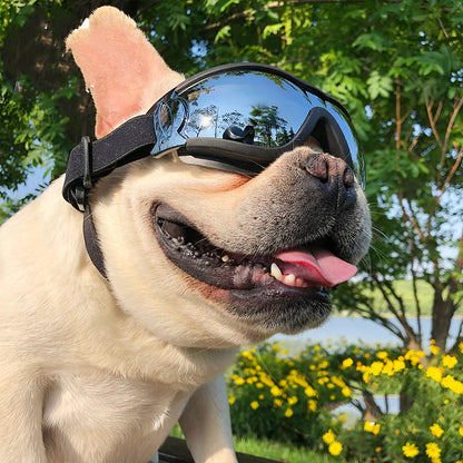 Canine UV Shield Windproof Eyewear Pet Goggles Accessories