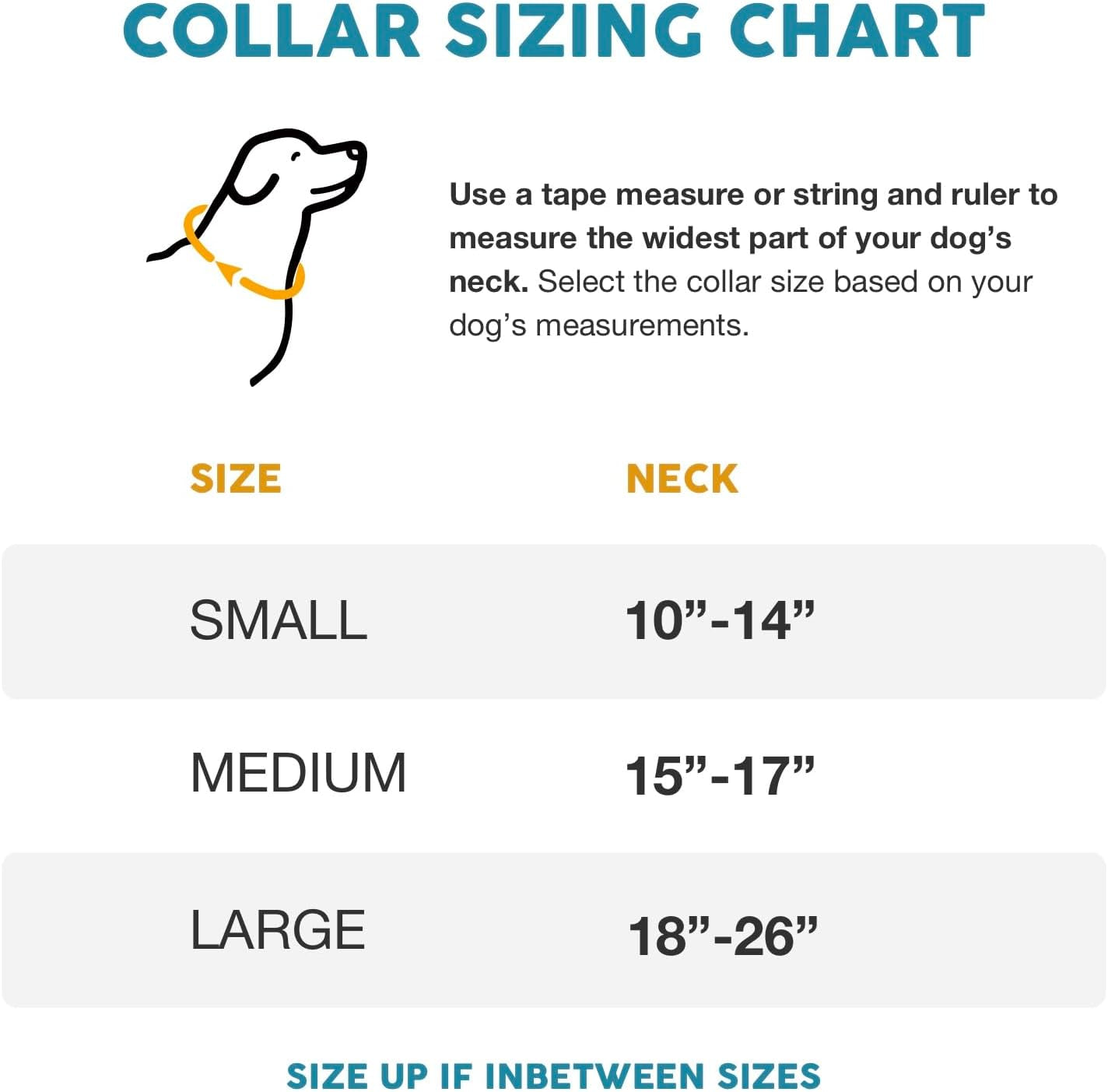 Embark Urban Dog Collar for Large, Medium, & Small Dogs - Durable Collars for Male & Female Dogs - Thick Nylon Material & Hardware - Leather Embossed