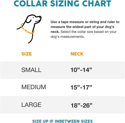 Embark Urban Dog Collar for Large, Medium, & Small Dogs - Durable Collars for Male & Female Dogs - Thick Nylon Material & Hardware - Leather Embossed