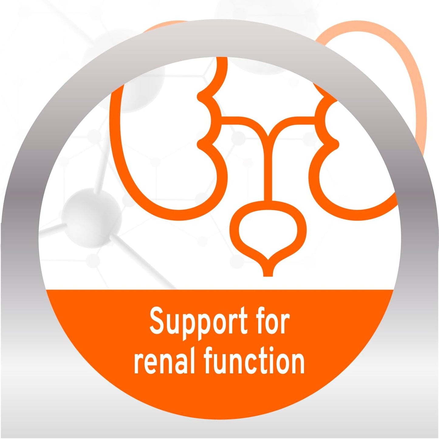 Kidney Care Dog Food – Renal Support Wet Dog Food with Lamb, Low Protein & Phosphorus Formula, Sensitive Stomach, 3.5 Oz Cans, 32 Pack – Vet Formulated, Made in Italy