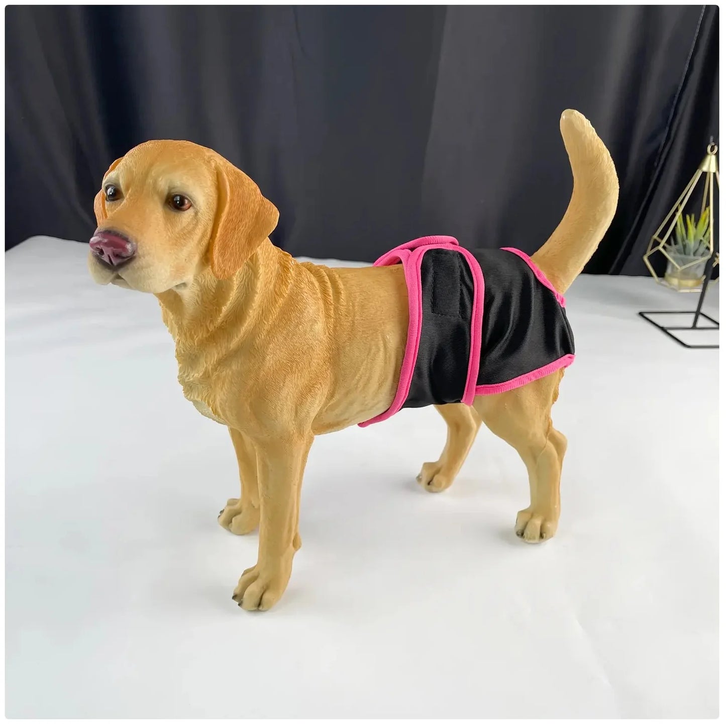 Comfortable and Stylish Reusable Dog Diaper - Adjustable Sanitary Pants for Dogs in Heat