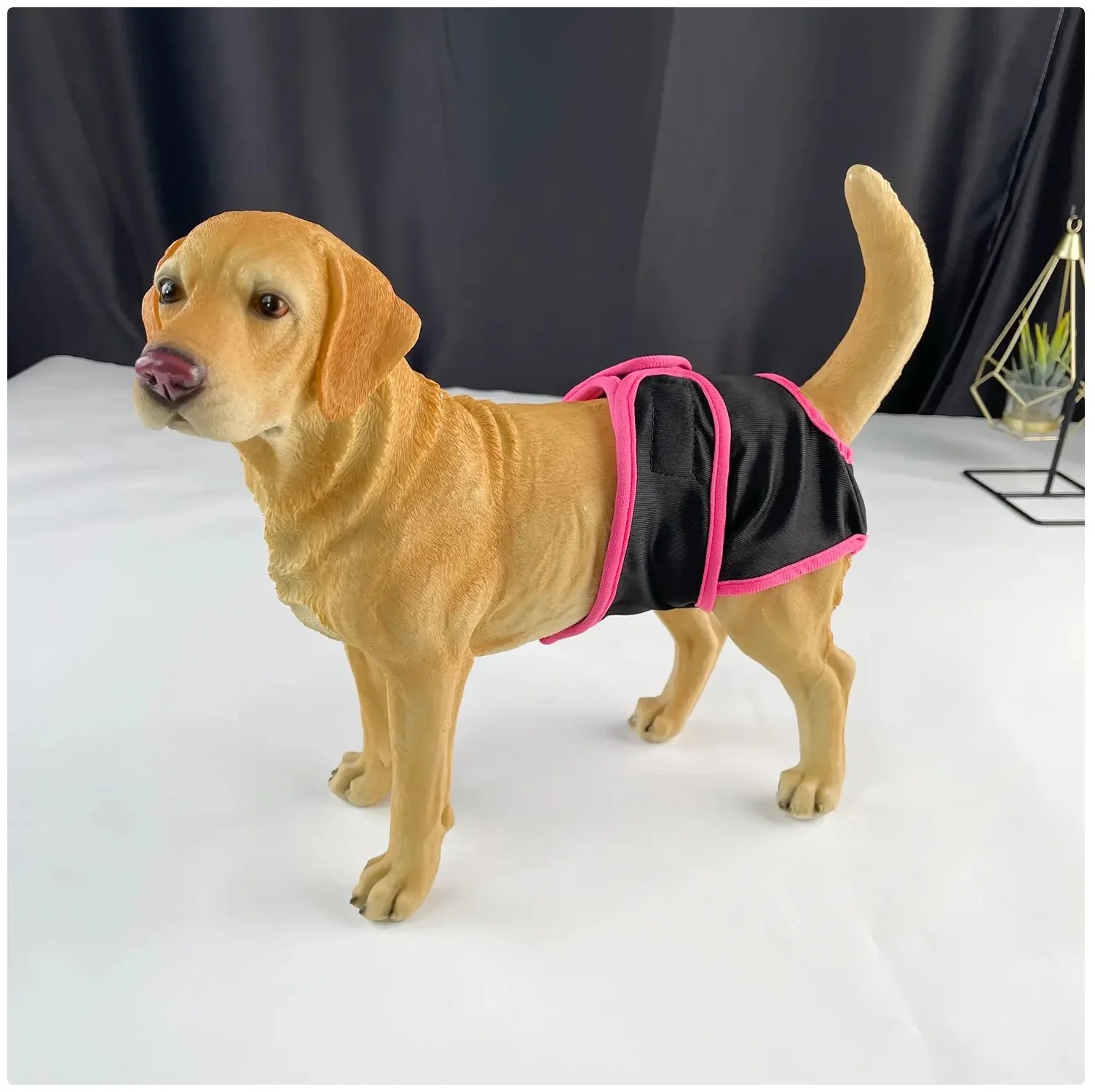 Comfortable and Stylish Reusable Dog Diaper - Adjustable Sanitary Pants for Dogs in Heat