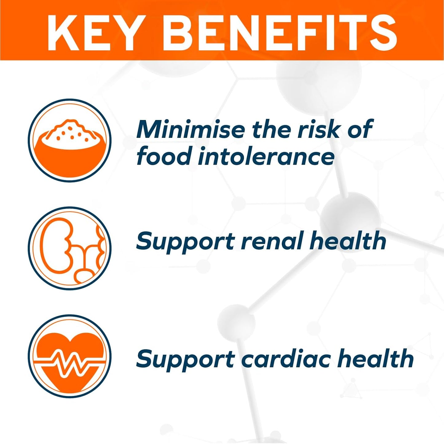 Kidney Care Dog Food – Renal Support Wet Dog Food with Lamb, Low Protein & Phosphorus Formula, Sensitive Stomach, 3.5 Oz Cans, 32 Pack – Vet Formulated, Made in Italy