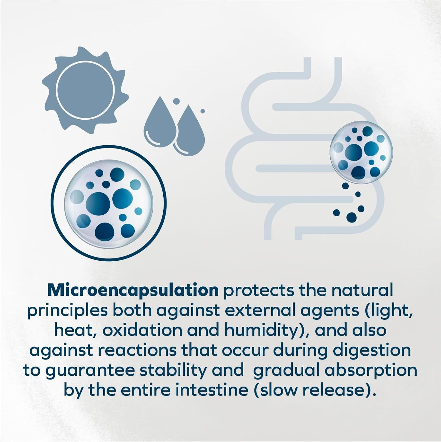 Kidney Care Dog Food – Renal Support Wet Dog Food with Lamb, Low Protein & Phosphorus Formula, Sensitive Stomach, 3.5 Oz Cans, 32 Pack – Vet Formulated, Made in Italy