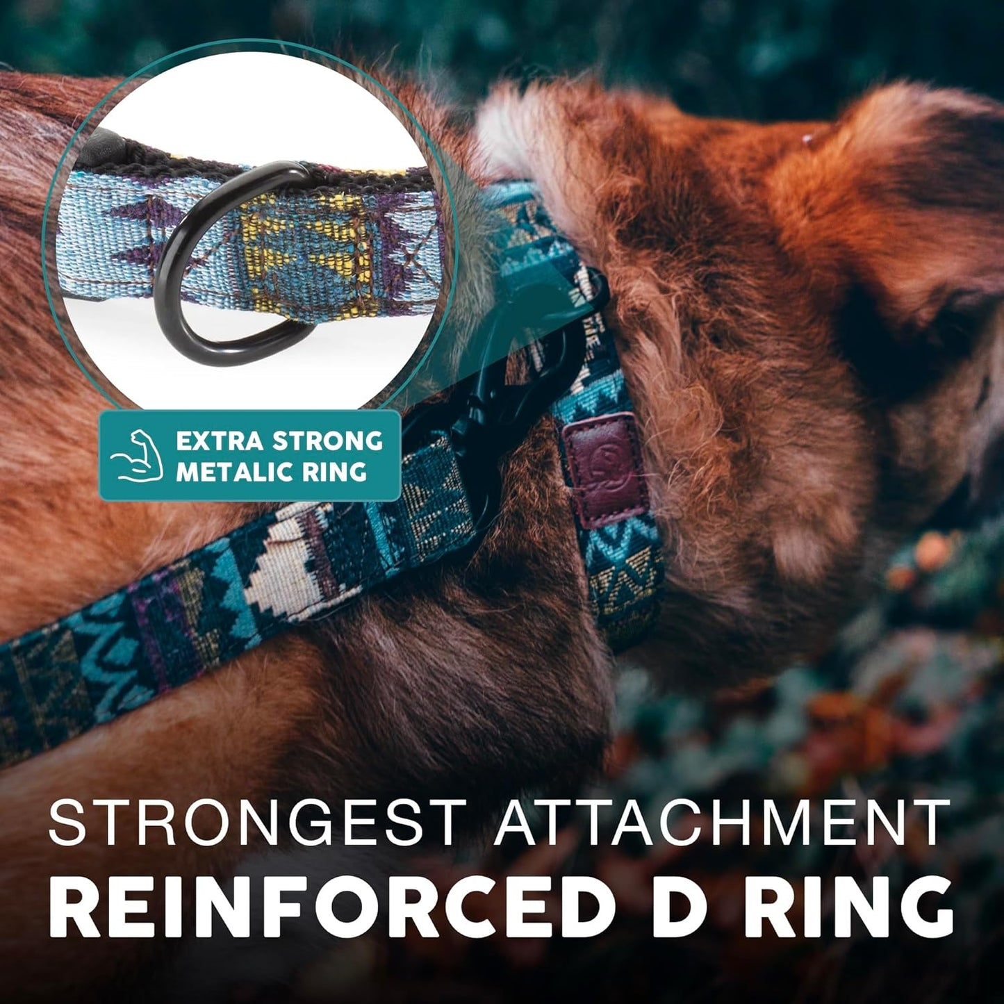 Embark Urban Dog Collar for Large, Medium, & Small Dogs - Durable Collars for Male & Female Dogs - Thick Nylon Material & Hardware - Leather Embossed