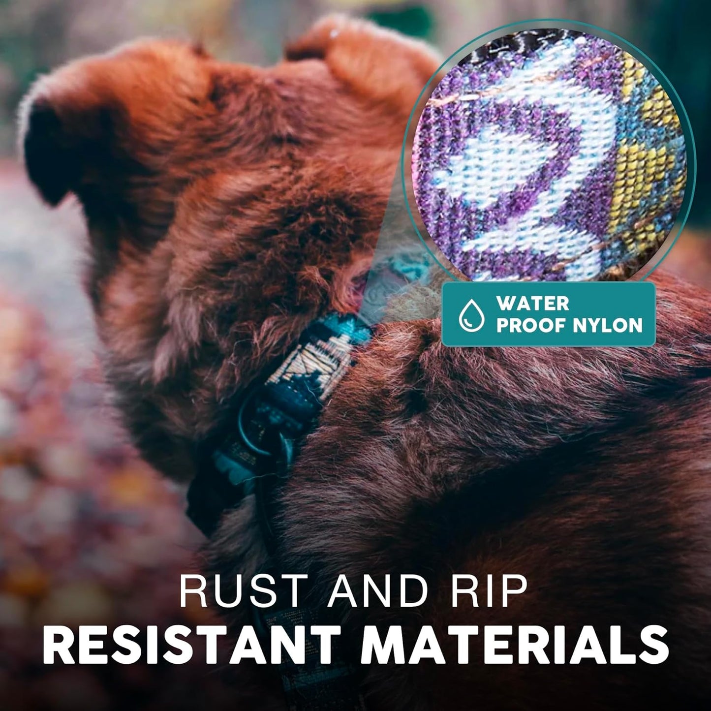 Embark Urban Dog Collar for Large, Medium, & Small Dogs - Durable Collars for Male & Female Dogs - Thick Nylon Material & Hardware - Leather Embossed