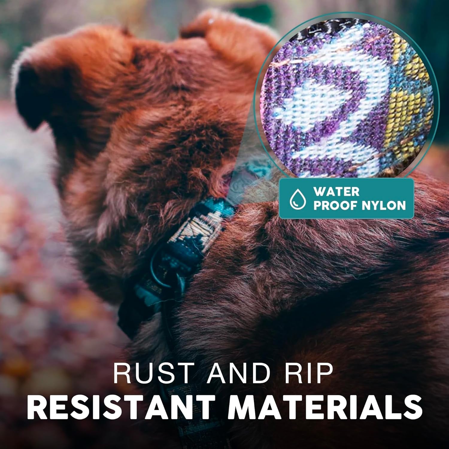 Embark Urban Dog Collar for Large, Medium, & Small Dogs - Durable Collars for Male & Female Dogs - Thick Nylon Material & Hardware - Leather Embossed